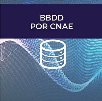 BBDD-CNAE-1_optimizada